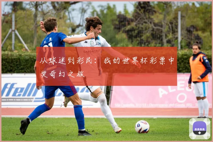 从球迷到彩民：我的世界杯彩票中奖奇幻之旅