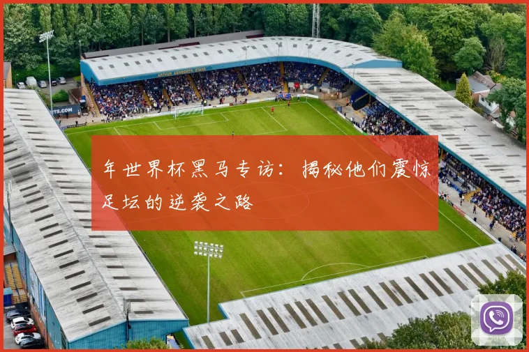年世界杯黑马专访:揭秘他们震惊足坛的逆袭之路