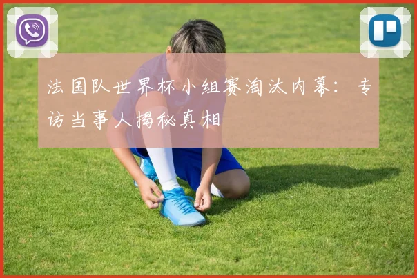 法国队世界杯小组赛淘汰内幕：专访当事人揭秘真相