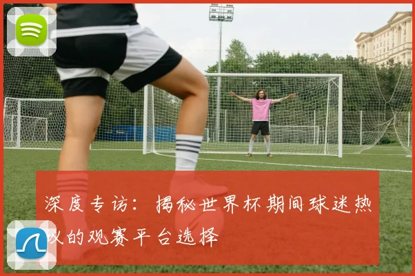 深度专访：揭秘世界杯期间球迷热议的观赛平台选择