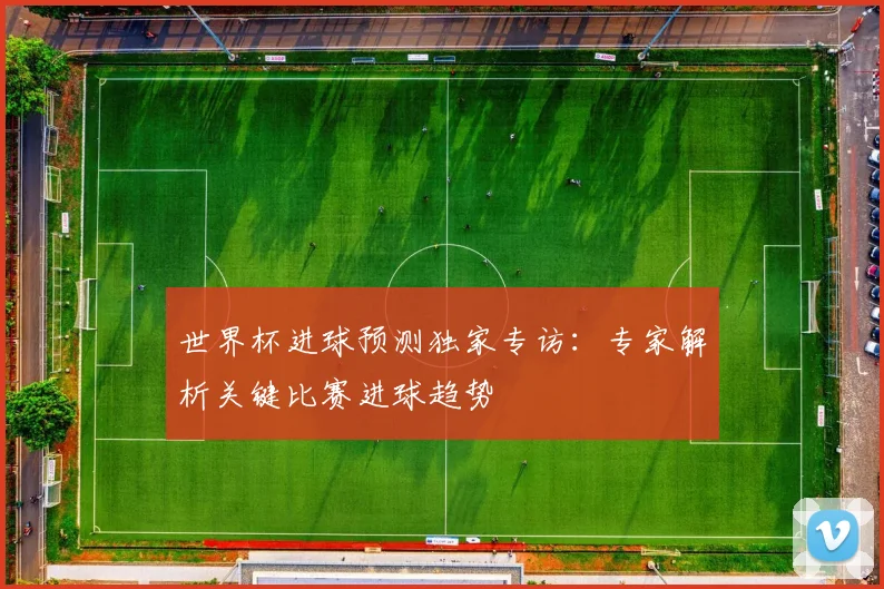 世界杯进球预测独家专访：专家解析关键比赛进球趋势