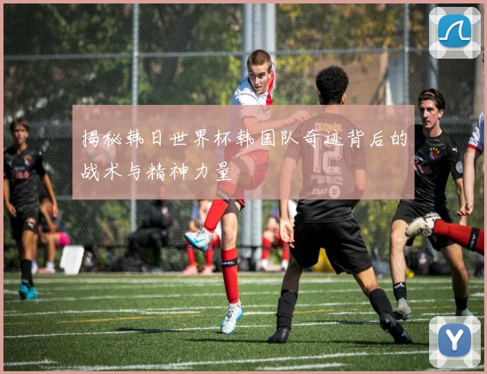 揭秘韩日世界杯韩国队奇迹背后的战术与精神力量