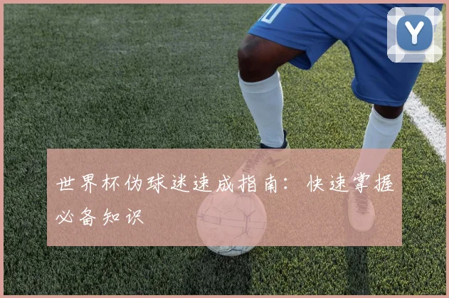 世界杯伪球迷速成指南：快速掌握必备知识