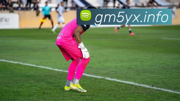 App Interface Preview